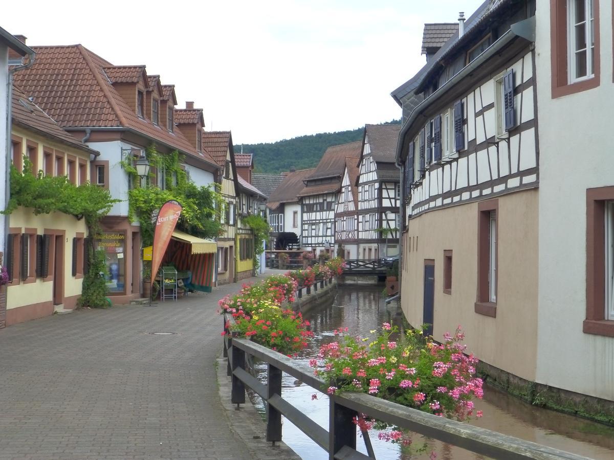 Villa Waldfrieden - Design Trifft Budget Annweiler am Trifels Dış mekan fotoğraf